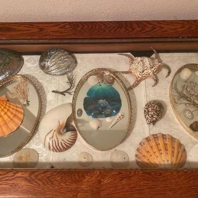 #9068 • Vintage Mirror Trays, Abalone Shells, Sand Dollars and More
