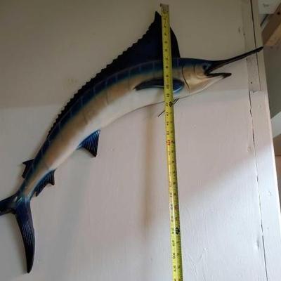 #10570 â€¢ Sword Fish
