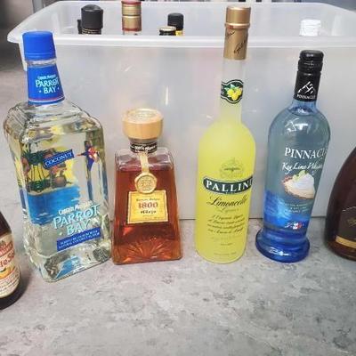 #1052 â€¢ Collection of Sealed Bottles
