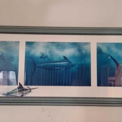 #11514 â€¢ Framed Swordfish Picture

