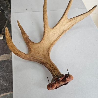https://www.auctionninja.com/stress-free-estate-services-llc/sales/details/splendid-spencer-ma-estate-antiques-jewelry-art-fine-glass-and...