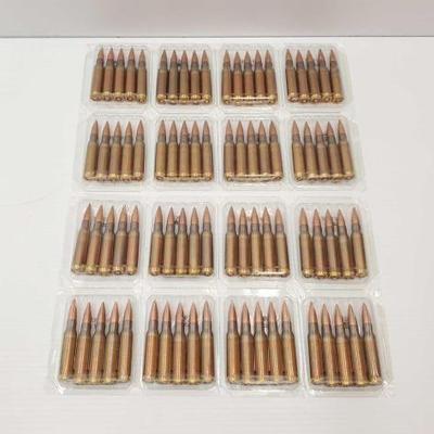 #1456 â€¢ 80 Rounds of 308/7.62mm Ammo
