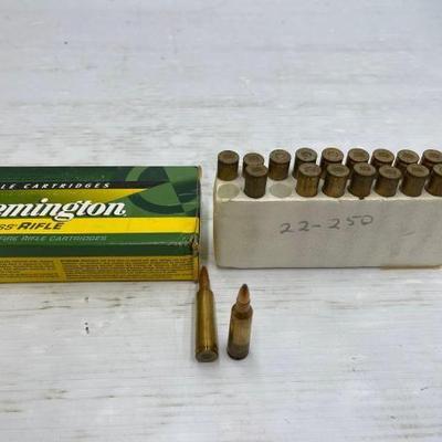 #1395 â€¢ 40 Rounds of 22-250 Remington Ammo

