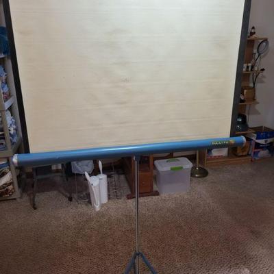 Da-Lite movie screen 