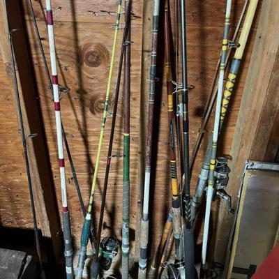 Rods & reels