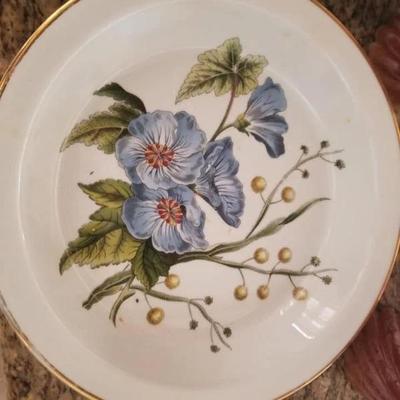 Spode Stafford Flowers dishes