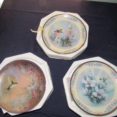 Hummingbird plates