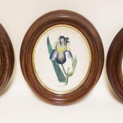 1021	VICTORIAN OVAL WALNUT FRAMES 3 MATCHING W/BOTANICAL PRINTS, APPROXIMATELY 11 IN X 14 IN
