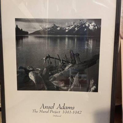 Ansel Adamâ€™s the mural project - driftwood (23x29â€)