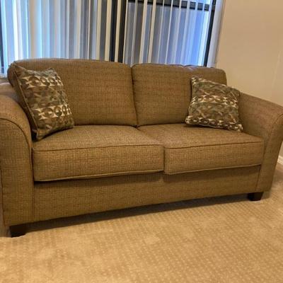 Sleeper loveseat 
