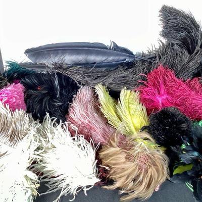 BIHY921 Ostrich Feather Millinery	Large assortment of black, yellow, white, pink, green, ivory ostrich feathers used in hat making or...