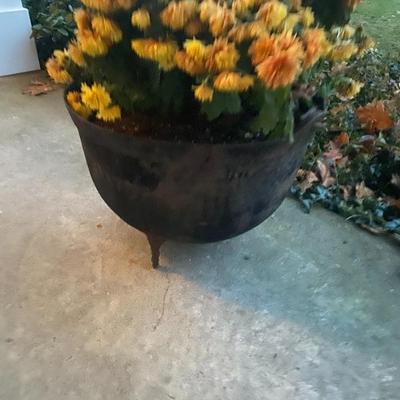 Cast iron pot