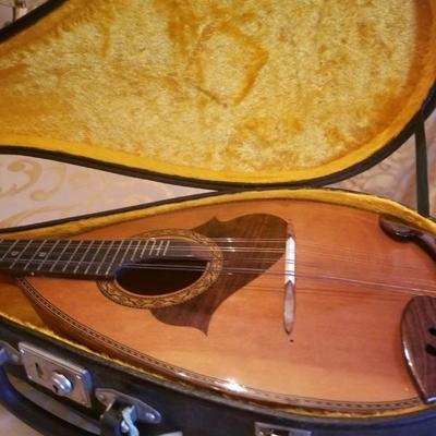 Vintage Suzuki mandolin