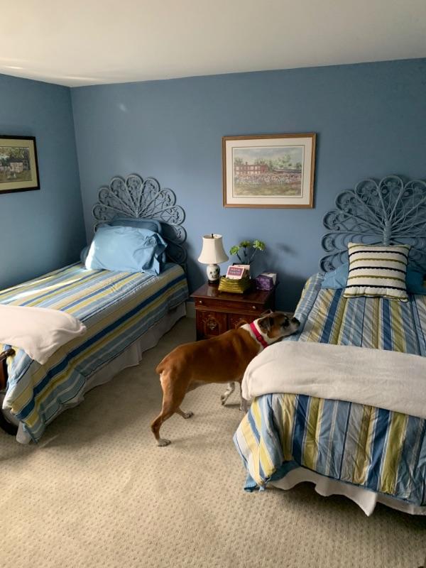 Cohen’s Estate Sales West Chester