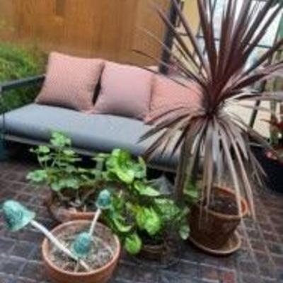 living plants, pots, garden decorations