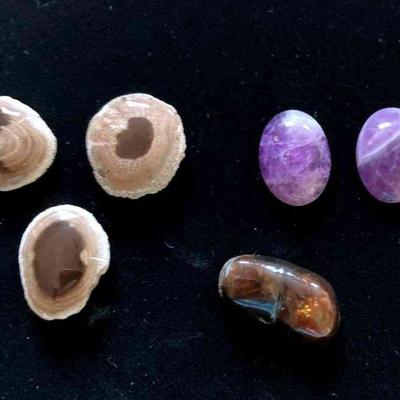 HFF023 Petrified Wood, Amethyst & Opal