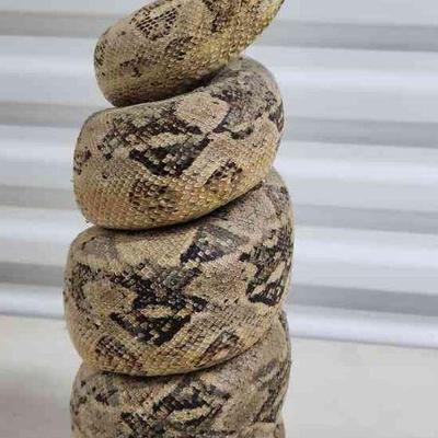 FTH335 - Taxidermy Snake