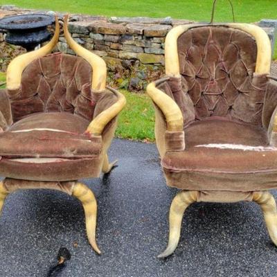 American Victorian Horn Furniture