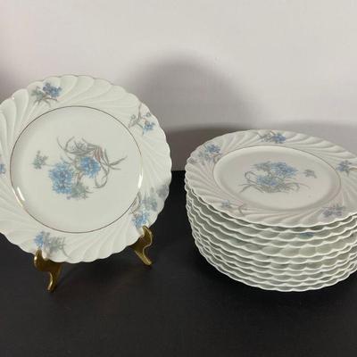 Haviland Limoges 