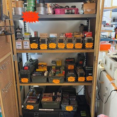 Wonderufl selection of Ammo 