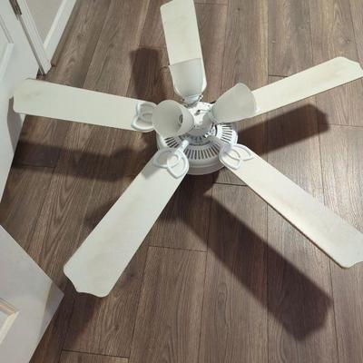 Large Ceiling Fan