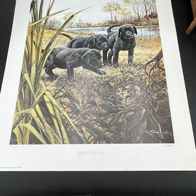 R J McDonald Signed and Numbered Print