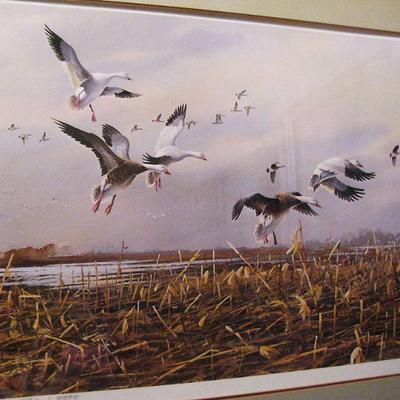 Cornfield in Fall Signed & Numbered