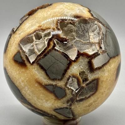 Polished Dragon Stone on Stand from Madagascar