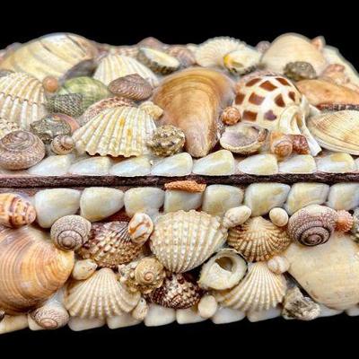 Shell Covered Box