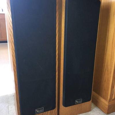 Lot 033-LR: Infinity Crescendo CS-3007 Speakers

Features: 
â€¢	Hefty, classic 3-way speakers
â€¢	Date from the 1990s
â€¢	The CS-3007's...