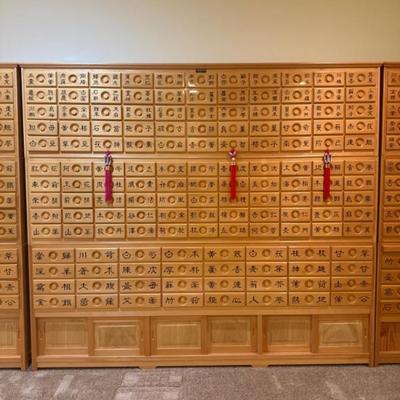 	Chinese Apothecary Herb Wooden Cabinet #3