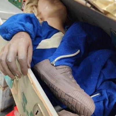 The American National Red Cross Vintage CPR Manikin