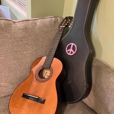 Gremlin Acoustic Guitar in Case