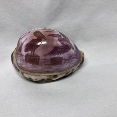 Carved Shell with Pelicans