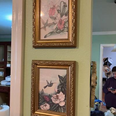 Hummingbird Framed Prints sold as pair