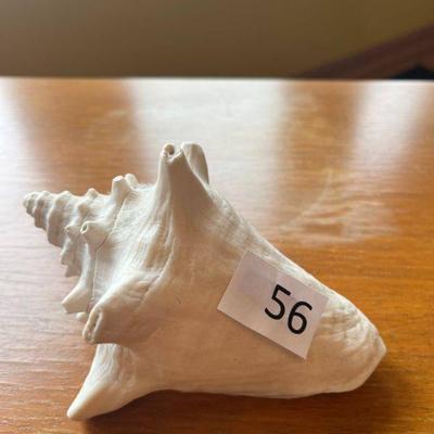 56:Small Conch Shell
