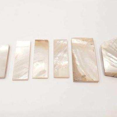 #1824 â€¢ Mother Of Pearl Pieces, 211g
