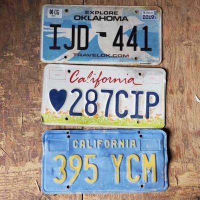 #2938 â€¢ (3) License Plates
