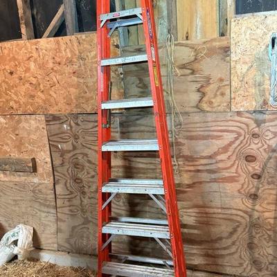 Werner 8-foot Ladder