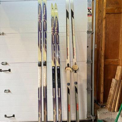 Cross Country Skis