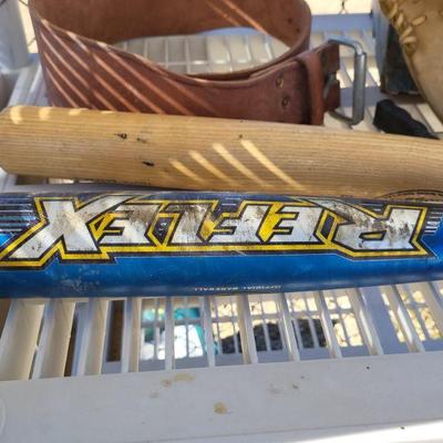 Weight belt, baseball bats