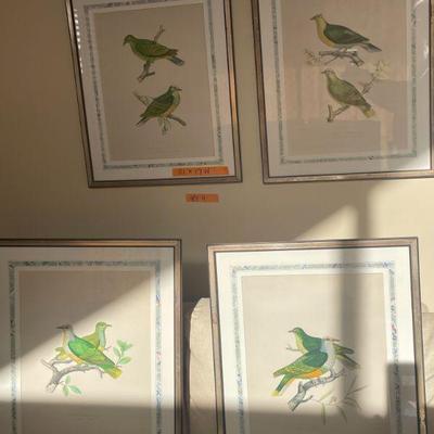 Framed art pieces of whimsical birds. 