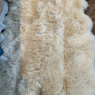 Bear skin rugs - 3 available