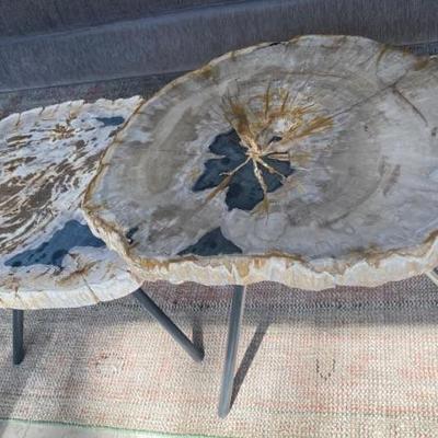 Arhaus petrified wood three legged table L to R 14" X 17" X 25"/17" x21" X 17"