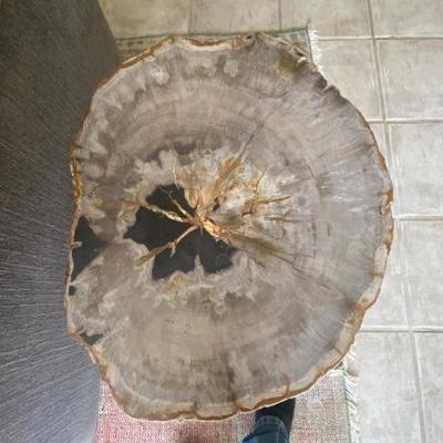 Arhaus petrified wood 3 legged table 20" x 21".5 x 17"