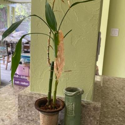 potted plants