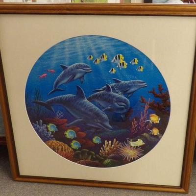 Framed Dolphin Photo