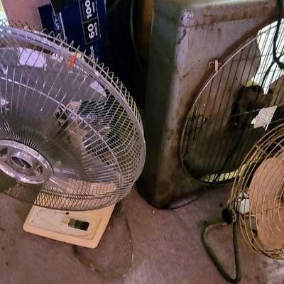 Fans