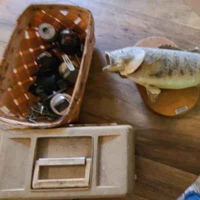 Fishing Reels, Tackle, and a Fish Mount
