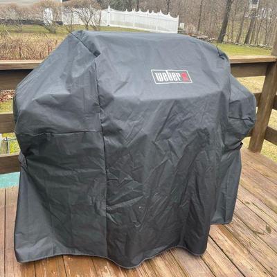 Weber grill